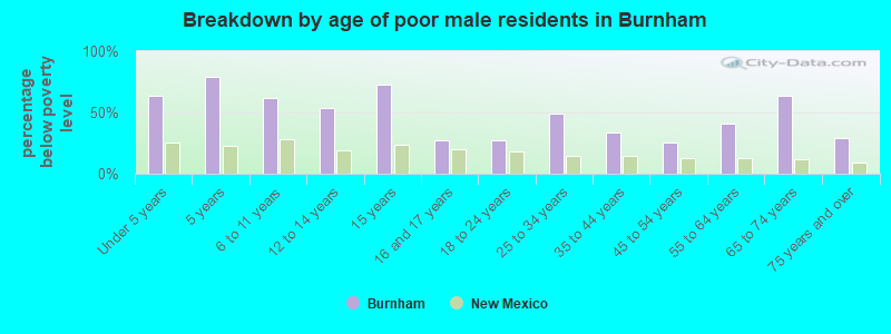 Breakdown by age of poor male residents in Burnham