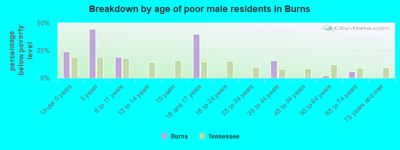 Breakdown by age of poor male residents in Burns
