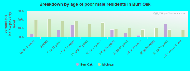 Breakdown by age of poor male residents in Burr Oak