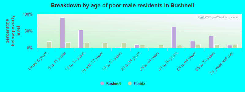 Breakdown by age of poor male residents in Bushnell