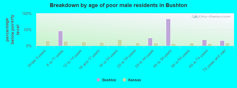 Breakdown by age of poor male residents in Bushton