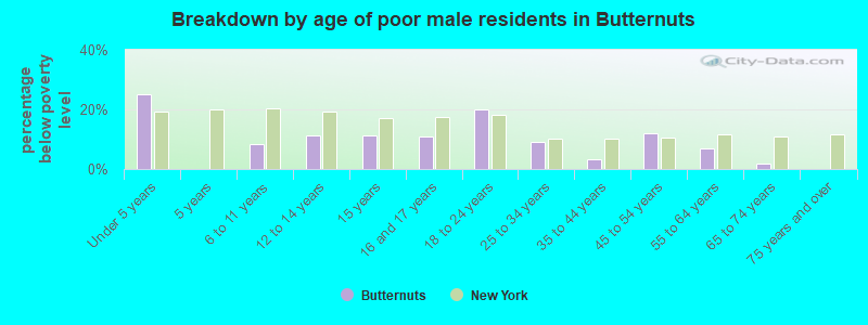 Breakdown by age of poor male residents in Butternuts