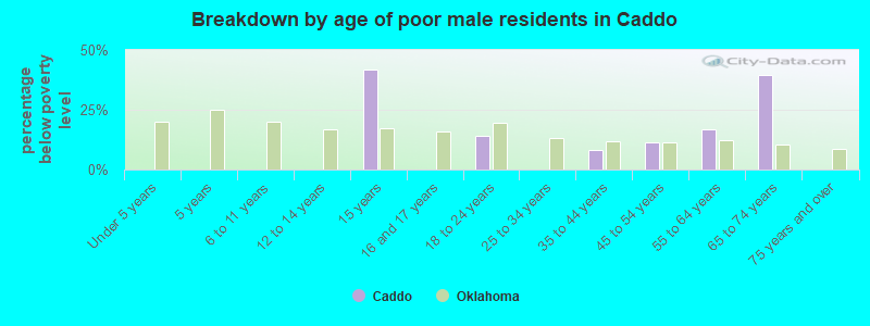 Breakdown by age of poor male residents in Caddo