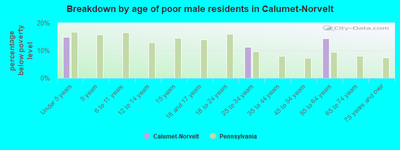 Breakdown by age of poor male residents in Calumet-Norvelt