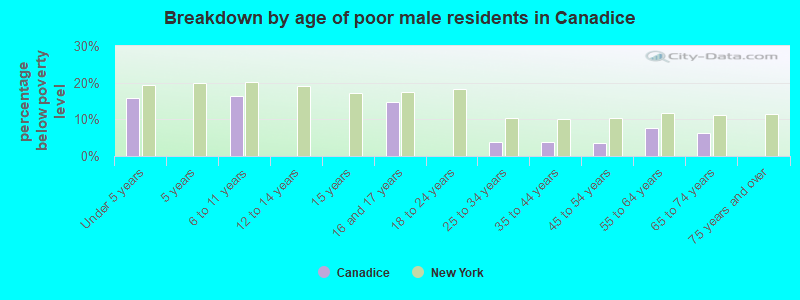 Breakdown by age of poor male residents in Canadice