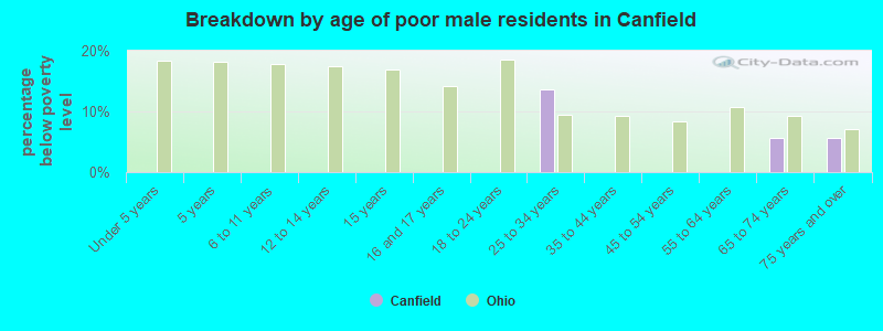 Breakdown by age of poor male residents in Canfield