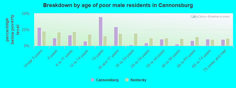 Breakdown by age of poor male residents in Cannonsburg
