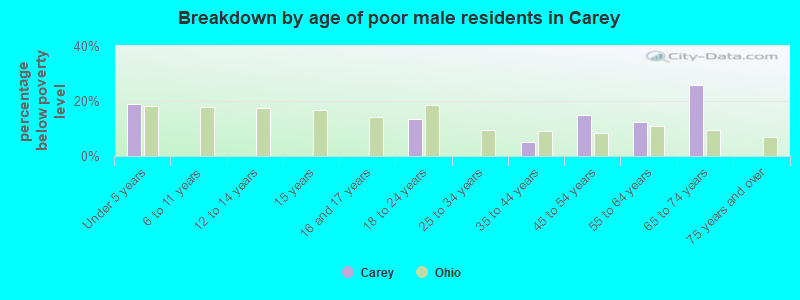Breakdown by age of poor male residents in Carey