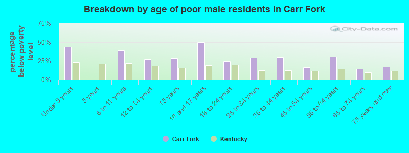 Breakdown by age of poor male residents in Carr Fork