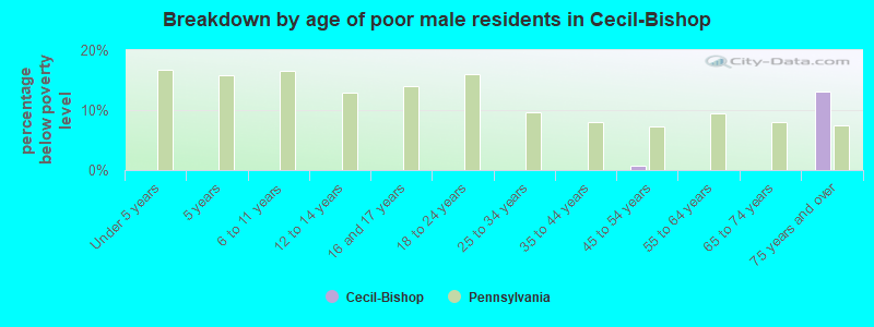 Breakdown by age of poor male residents in Cecil-Bishop