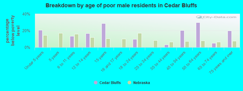 Breakdown by age of poor male residents in Cedar Bluffs