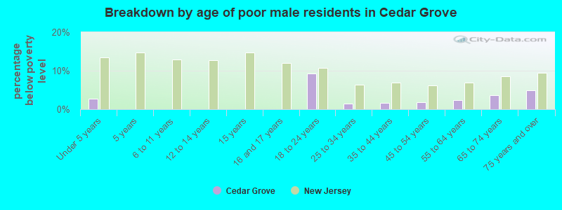 Breakdown by age of poor male residents in Cedar Grove