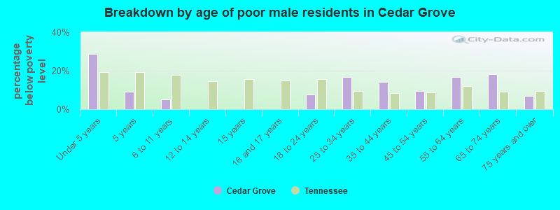 Breakdown by age of poor male residents in Cedar Grove