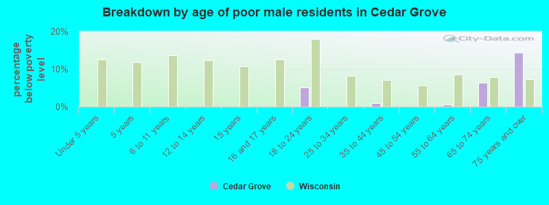 Breakdown by age of poor male residents in Cedar Grove