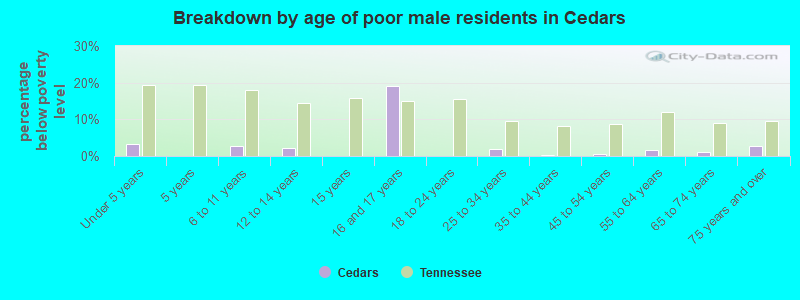 Breakdown by age of poor male residents in Cedars