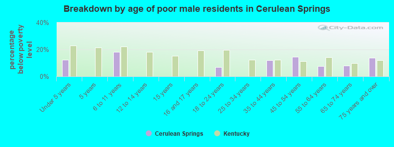 Breakdown by age of poor male residents in Cerulean Springs