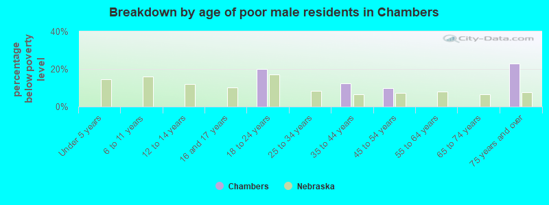 Breakdown by age of poor male residents in Chambers