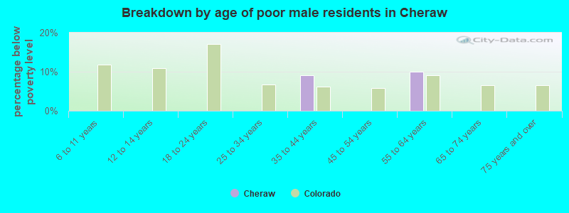 Breakdown by age of poor male residents in Cheraw
