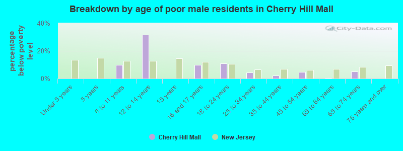 Breakdown by age of poor male residents in Cherry Hill Mall