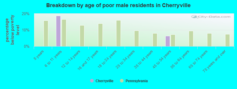 Breakdown by age of poor male residents in Cherryville