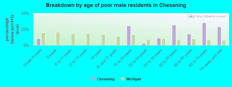Breakdown by age of poor male residents in Chesaning