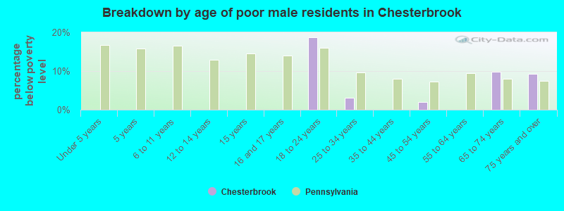 Breakdown by age of poor male residents in Chesterbrook