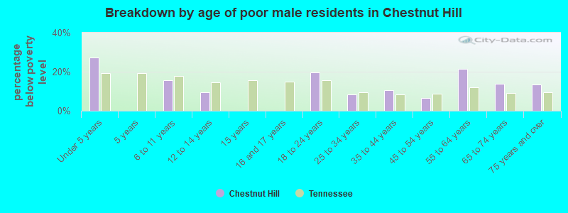 Breakdown by age of poor male residents in Chestnut Hill