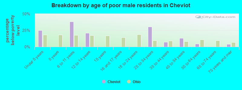 Breakdown by age of poor male residents in Cheviot