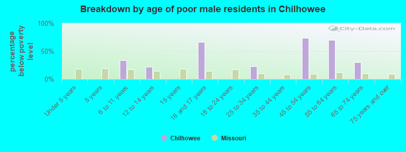 Breakdown by age of poor male residents in Chilhowee