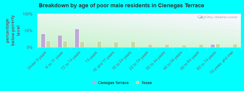 Breakdown by age of poor male residents in Cienegas Terrace
