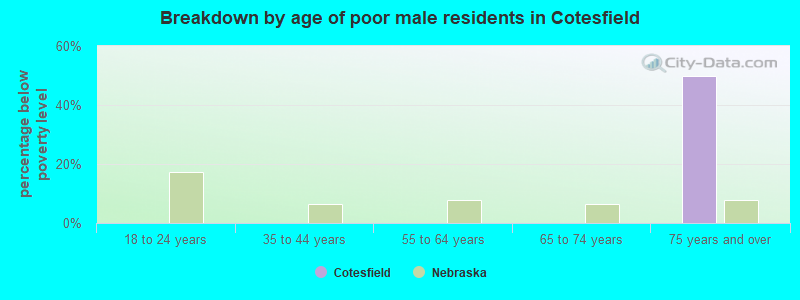 Breakdown by age of poor male residents in Cotesfield