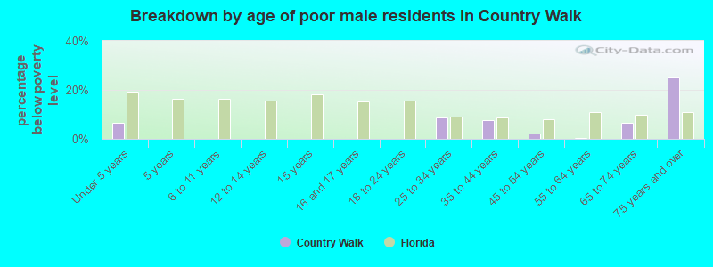 Breakdown by age of poor male residents in Country Walk
