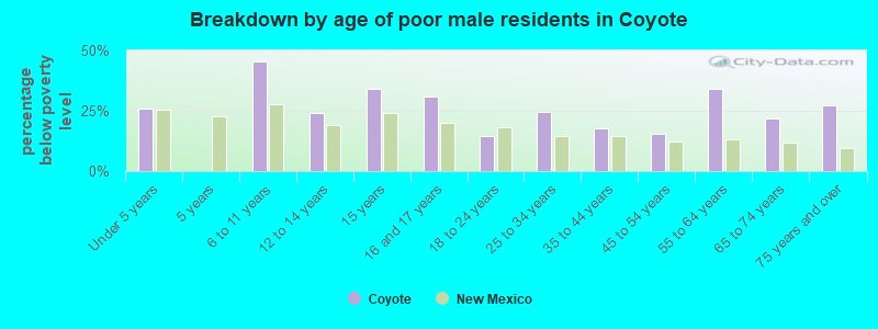 Breakdown by age of poor male residents in Coyote