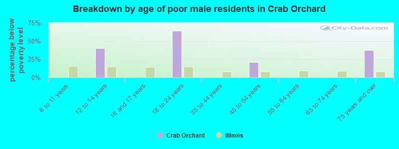 Breakdown by age of poor male residents in Crab Orchard