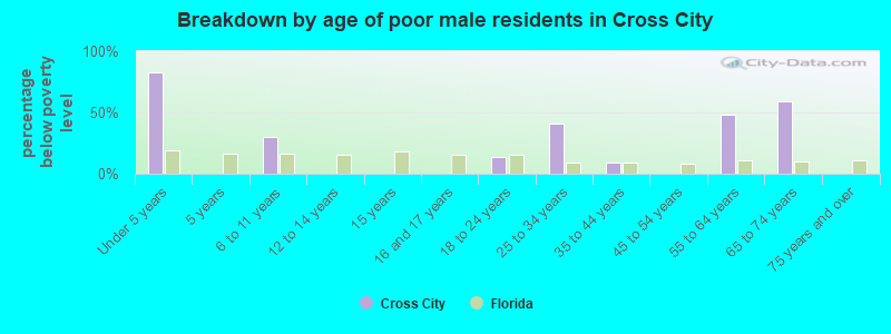 Breakdown by age of poor male residents in Cross City