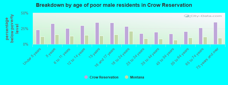 Breakdown by age of poor male residents in Crow Reservation