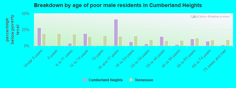Breakdown by age of poor male residents in Cumberland Heights