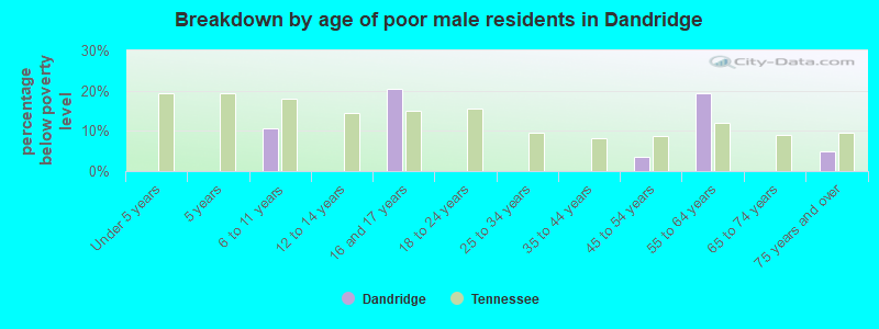Breakdown by age of poor male residents in Dandridge