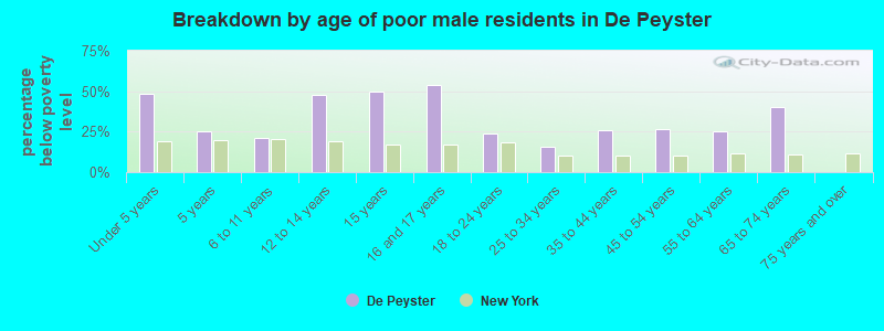 Breakdown by age of poor male residents in De Peyster