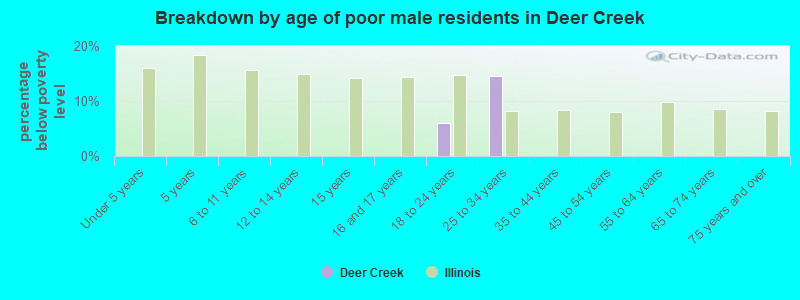 Breakdown by age of poor male residents in Deer Creek