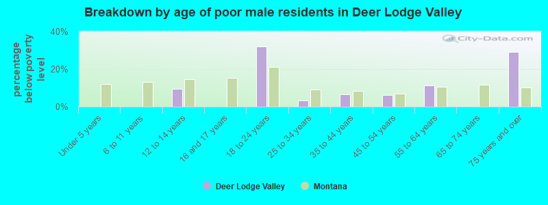 Breakdown by age of poor male residents in Deer Lodge Valley