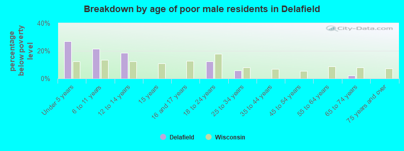 Breakdown by age of poor male residents in Delafield