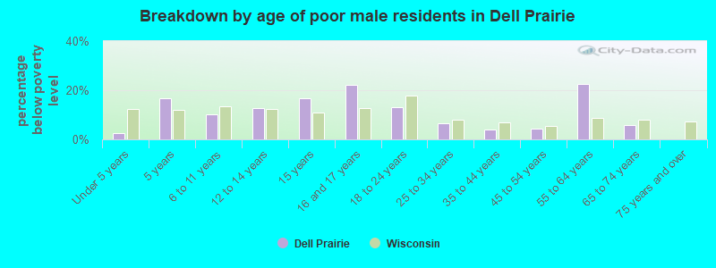 Breakdown by age of poor male residents in Dell Prairie