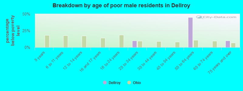 Breakdown by age of poor male residents in Dellroy