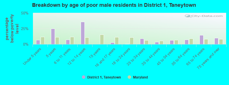 Breakdown by age of poor male residents in District 1, Taneytown