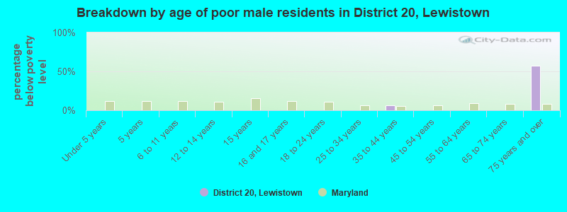 Breakdown by age of poor male residents in District 20, Lewistown