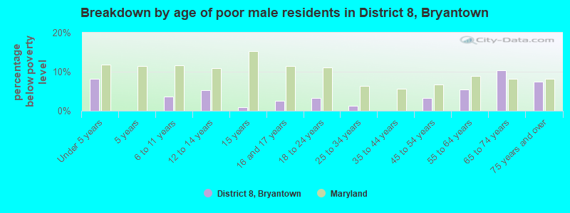 Breakdown by age of poor male residents in District 8, Bryantown