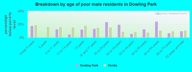 Breakdown by age of poor male residents in Dowling Park