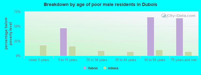 Breakdown by age of poor male residents in Dubois