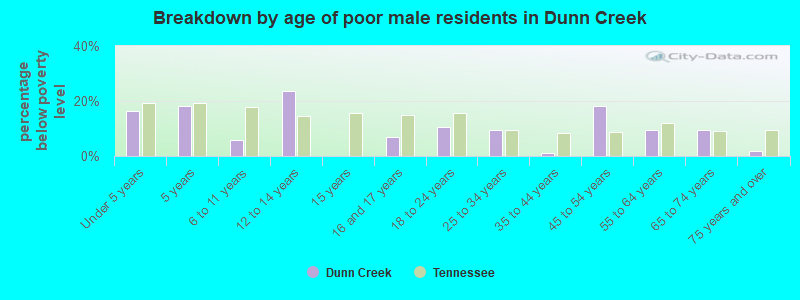 Breakdown by age of poor male residents in Dunn Creek